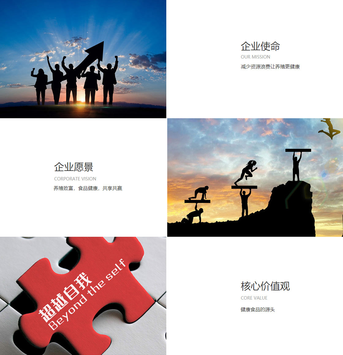 8868体育app下载平台官网(图1)